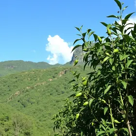 Melhor época para visitar Jalapão: clima e eventos