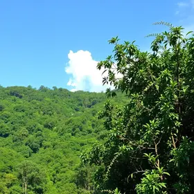 Jalapão: guia completo para planejar sua viagem