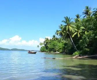 Dicas para visitar Ilha do Bananal: o que saber antes de ir