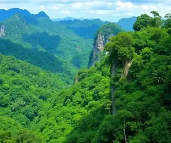 Pacotes de parques nacionais da Amazônia: o que avaliar antes de contratar
