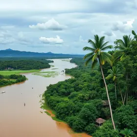 Amazonas avança na regularização financeira e fica com apenas um transfer ban