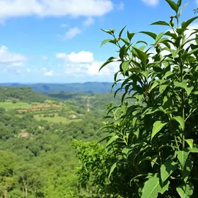 Dicas para visitar Jalapão: o que saber antes de ir