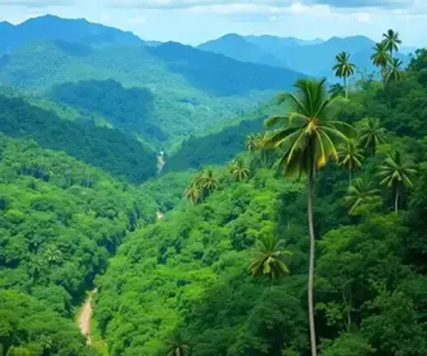 O que é parques nacionais da Amazônia: significado e importância turística