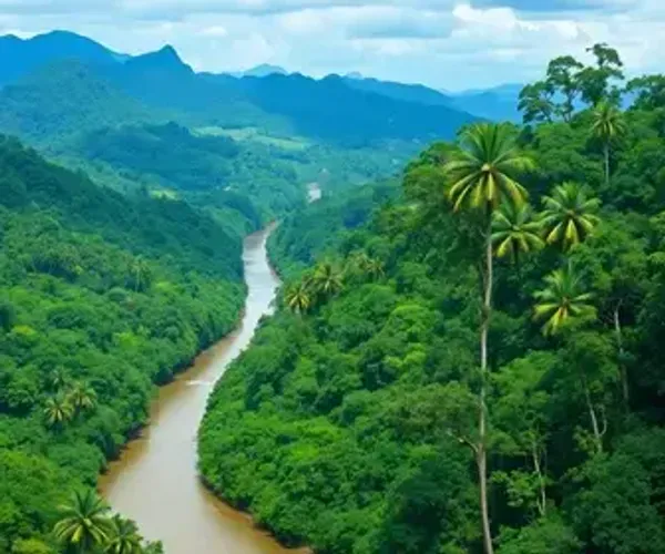 Melhor época para parques nacionais da Amazônia: clima, rios e temporada
