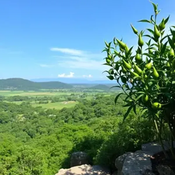 Jalapão para casal: experiências românticas e tranquilas