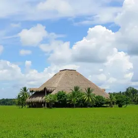 Dicas para visitar Ilha do Marajó: o que saber antes de ir