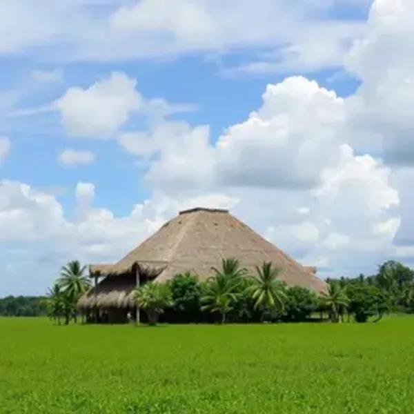 Dicas para visitar Ilha do Marajó: o que saber antes de ir