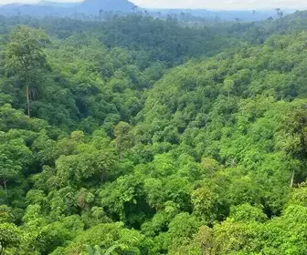 Pacotes de trilhas na Amazônia: o que avaliar antes de contratar
