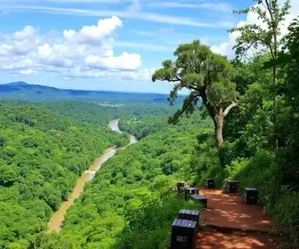Como aproveitar trilhas na Amazônia: dicas para visitantes
