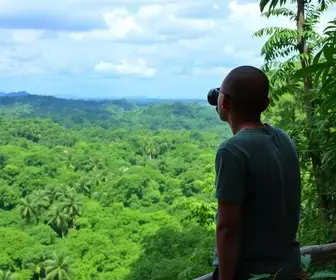 Melhores lugares para observação de animais na Amazônia: destinos e experiências