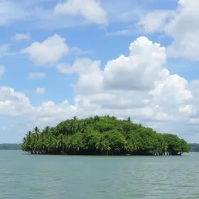 O que fazer na Ilha do Marajó: atrações, passeios e dicas