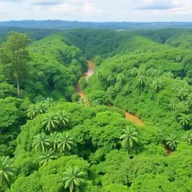 Como aproveitar turismo sustentável na Amazônia: dicas para visitantes