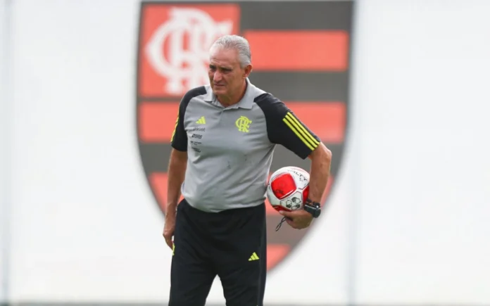 Imagem: Gilvan de Souza / Flamengo